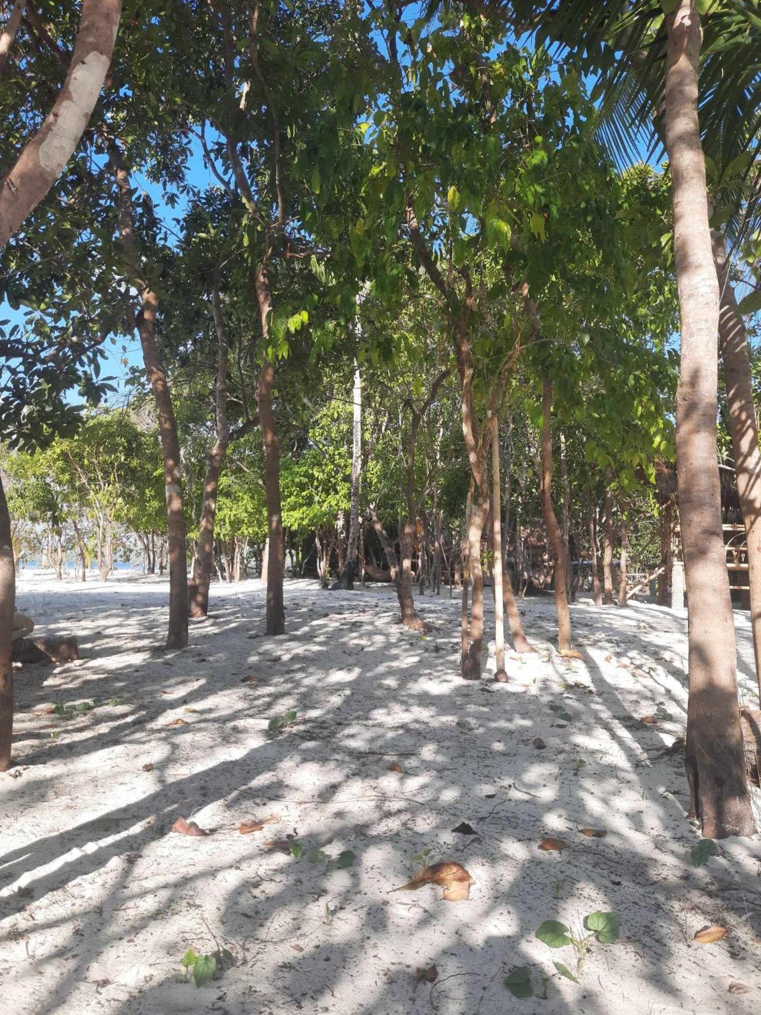 Dosplaya Ecocamp Ξενοδοχείο El Nido Εξωτερικό φωτογραφία