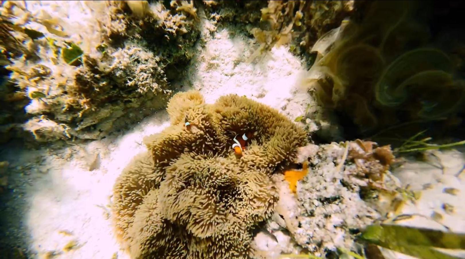 Dosplaya Ecocamp Ξενοδοχείο El Nido Εξωτερικό φωτογραφία
