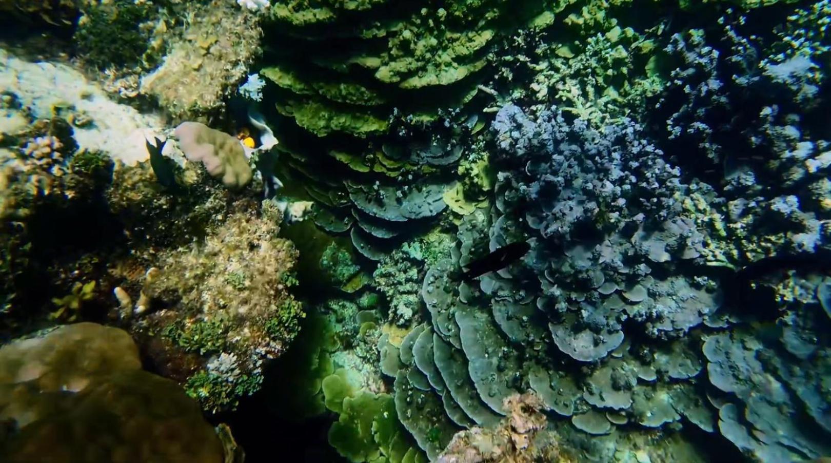Dosplaya Ecocamp Ξενοδοχείο El Nido Εξωτερικό φωτογραφία